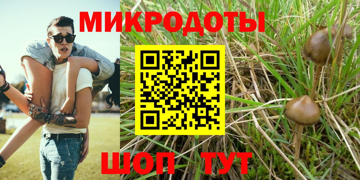 Галлюциногенные грибы Magic Shrooms Ржев