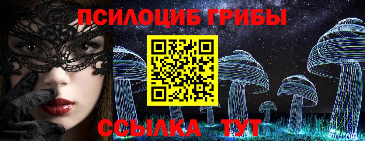 Ржев  Псилоцибиновые грибы Cubensis  Вход с VPN 